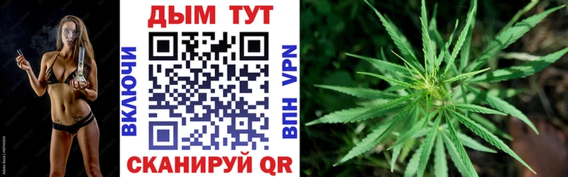 Где можно купить наркотики Камызяк Канабис  МЕФ  АМФ  Экстази  Псилоцибиновые грибы  КОКАИН  ГАШ 